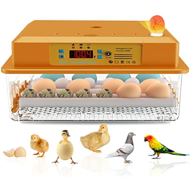 عربست حاضنة لتفقيس البيض من هيثيا، حاضنة البيض، حاضنة بيض الدجاج، بيض السمان، تقليب البيض التلقائي - Image 1